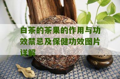 白茶的茶果的作用与功效禁忌及保健功效图片详解