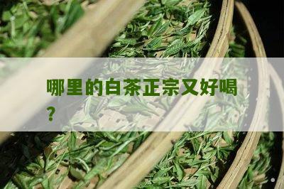 哪里的白茶正宗又好喝？