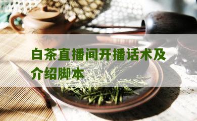 白茶直播间开播话术及介绍脚本