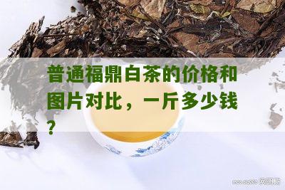 普通福鼎白茶的价格和图片对比，一斤多少钱？