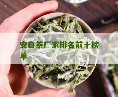 安白茶厂家排名前十榜单