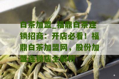 白茶加盟_福鼎白茶连锁招商：开店必看！福鼎白茶加盟网，股份加盟连锁店全解析