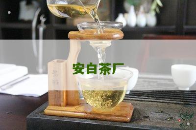 安白茶厂