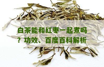 白茶能和红枣一起煮吗？功效、百度百科解析