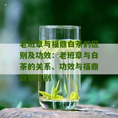 老班章与福鼎白茶的区别及功效：老班章与白茶的关系、功效与福鼎白茶区别