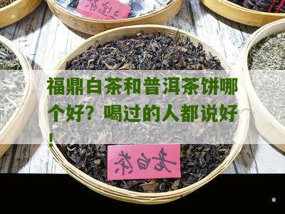 福鼎白茶和普洱茶饼哪个好？喝过的人都说好！