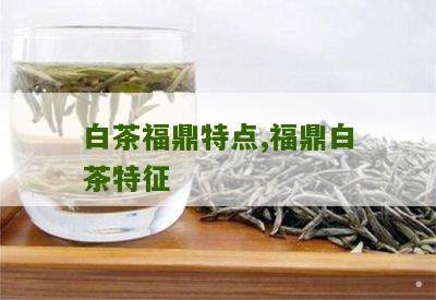 白茶福鼎特点,福鼎白茶特征