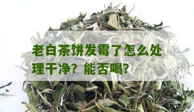 老白茶饼发霉了怎么处理干净？能否喝？