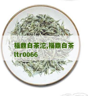 福鼎白茶沱,福鼎白茶ltr0066