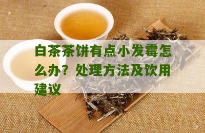 白茶茶饼有点小发霉怎么办？处理方法及饮用建议