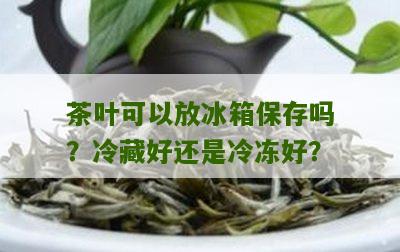 茶叶可以放冰箱保存吗？冷藏好还是冷冻好？