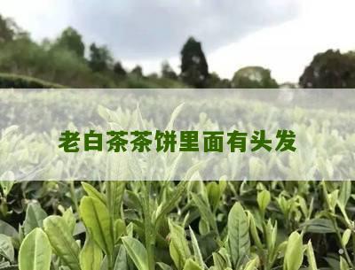 老白茶茶饼里面有头发