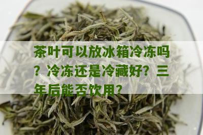 茶叶可以放冰箱冷冻吗？冷冻还是冷藏好？三年后能否饮用？