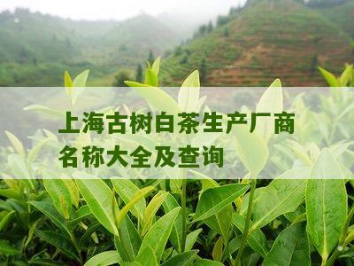 上海古树白茶生产厂商名称大全及查询