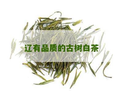 辽有品质的古树白茶