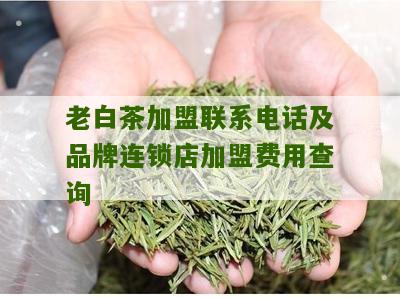 老白茶加盟联系电话及品牌连锁店加盟费用查询