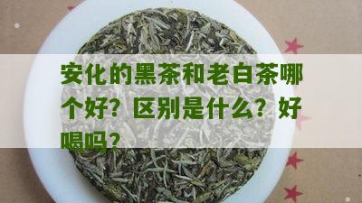 安化的黑茶和老白茶哪个好？区别是什么？好喝吗？