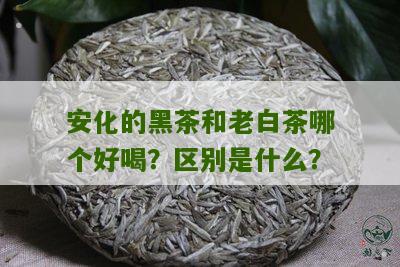 安化的黑茶和老白茶哪个好喝？区别是什么？