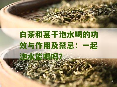 白茶和葚干泡水喝的功效与作用及禁忌：一起泡水能喝吗？