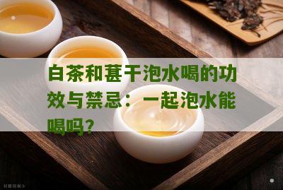 白茶和葚干泡水喝的功效与禁忌：一起泡水能喝吗？