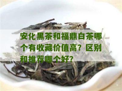 安化黑茶和福鼎白茶哪个有收藏价值高？区别和推荐哪个好？