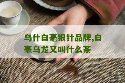 乌什白毫银针品牌,白毫乌龙又叫什么茶