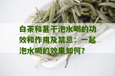 白茶和葚干泡水喝的功效和作用及禁忌：一起泡水喝的效果如何？