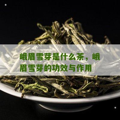 峨眉雪芽是什么茶，峨眉雪芽的功效与作用