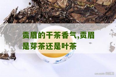 贡眉的干茶香气,贡眉是芽茶还是叶茶