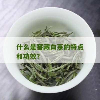 什么是窖藏白茶的特点和功效？