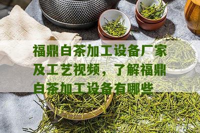 福鼎白茶加工设备厂家及工艺视频，了解福鼎白茶加工设备有哪些