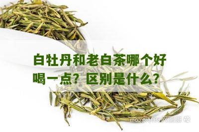 白牡丹和老白茶哪个好喝一点？区别是什么？