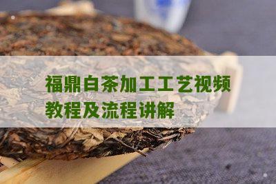 福鼎白茶加工工艺视频教程及流程讲解