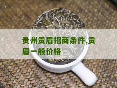 贵州贡眉招商条件,贡眉一般价格