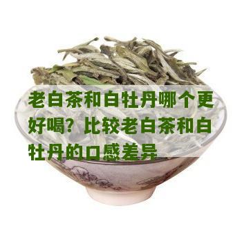 老白茶和白牡丹哪个更好喝？比较老白茶和白牡丹的口感差异