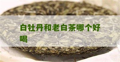 白牡丹和老白茶哪个好喝