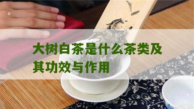 大树白茶是什么茶类及其功效与作用