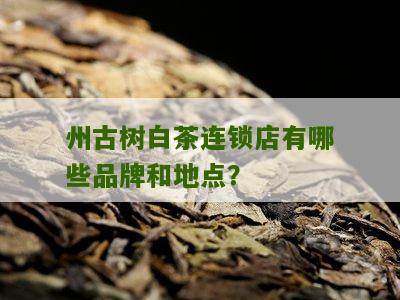 州古树白茶连锁店有哪些品牌和地点？