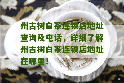 州古树白茶连锁店地址查询及电话，详细了解州古树白茶连锁店地址在哪里！