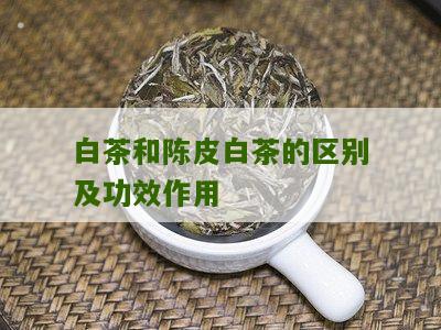 白茶和陈皮白茶的区别及功效作用