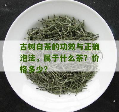 古树白茶的功效与正确泡法，属于什么茶？价格多少？