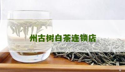 州古树白茶连锁店