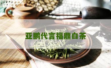 亚鹏代言福鼎白茶