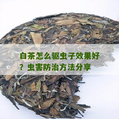 白茶怎么驱虫子效果好？虫害防治方法分享