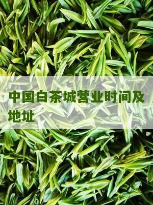 中国白茶城营业时间及地址