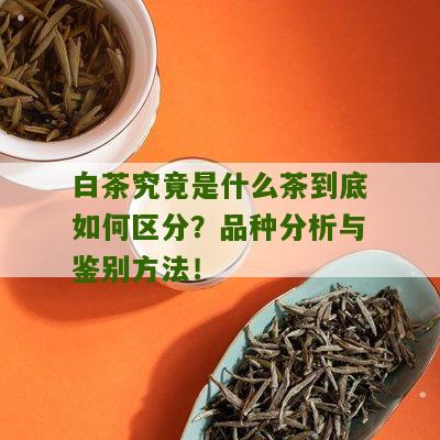 白茶究竟是什么茶到底如何区分？品种分析与鉴别方法！