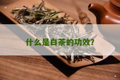 什么是白茶的功效？