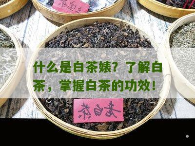 什么是白茶婊？了解白茶，掌握白茶的功效！