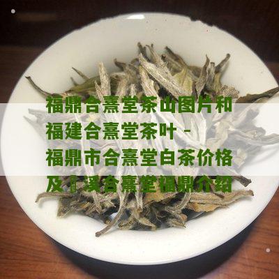 福鼎合熹堂茶山图片和福建合熹堂茶叶 - 福鼎市合熹堂白茶价格及磻溪合熹堂福鼎介绍