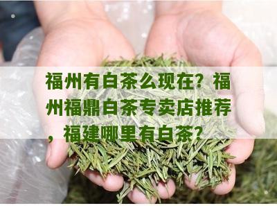 福州有白茶么现在？福州福鼎白茶专卖店推荐，福建哪里有白茶？